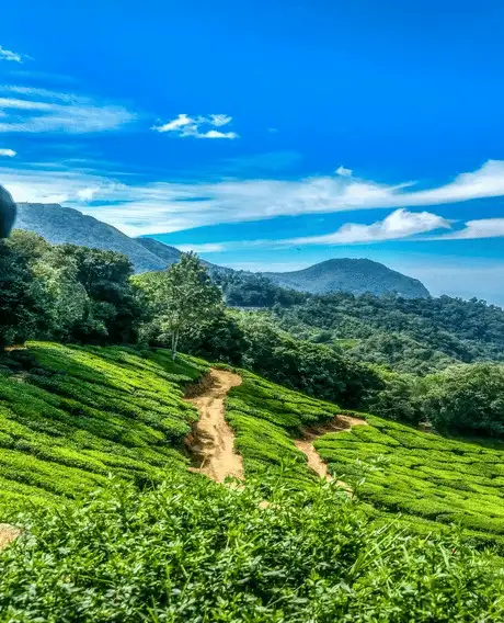 Munnar