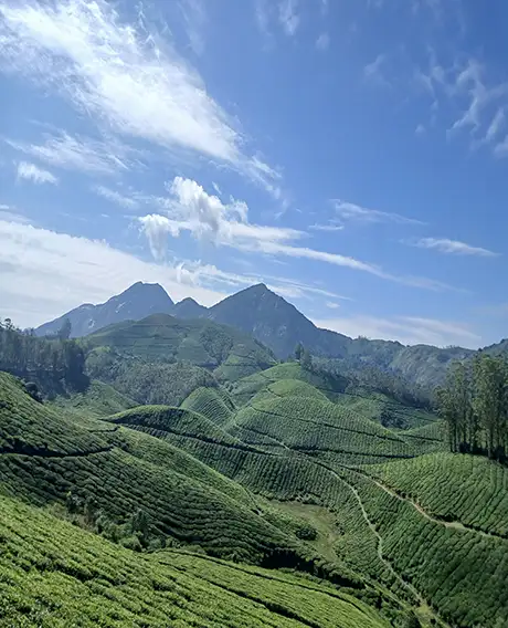 Munnar,Thekkady,Alapuza,,kochi