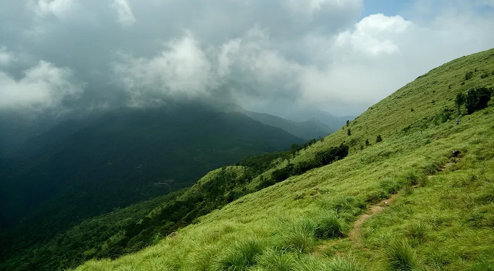 Munnar-Thekkady-Alapuza (house boat)-kochi