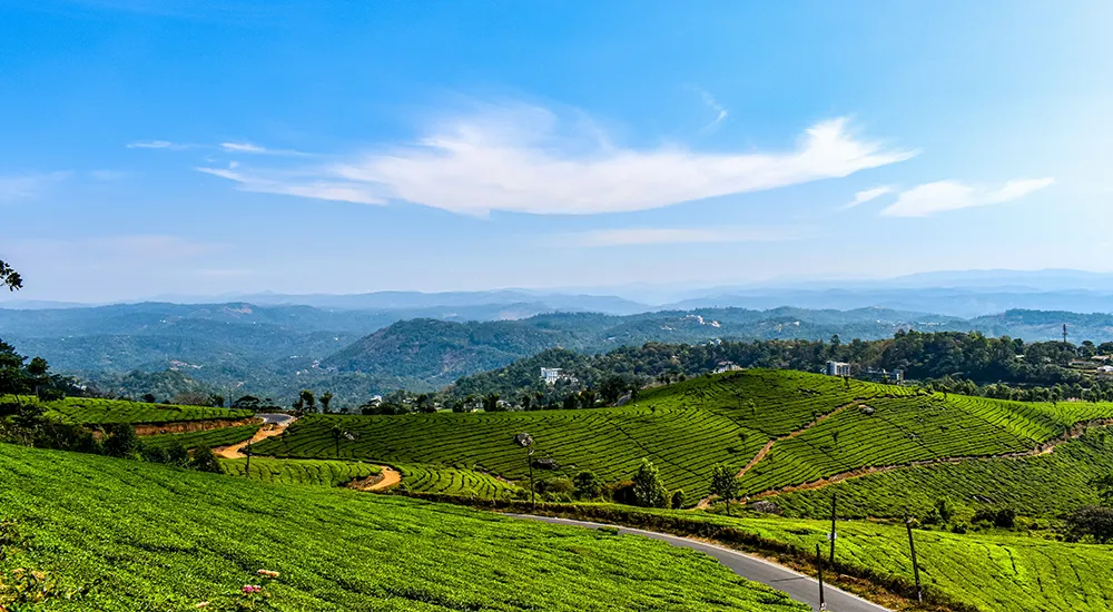 Kerala family tour package
