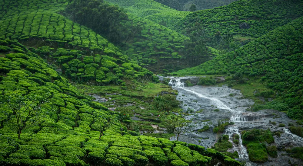 Kerala Hills and Backwater